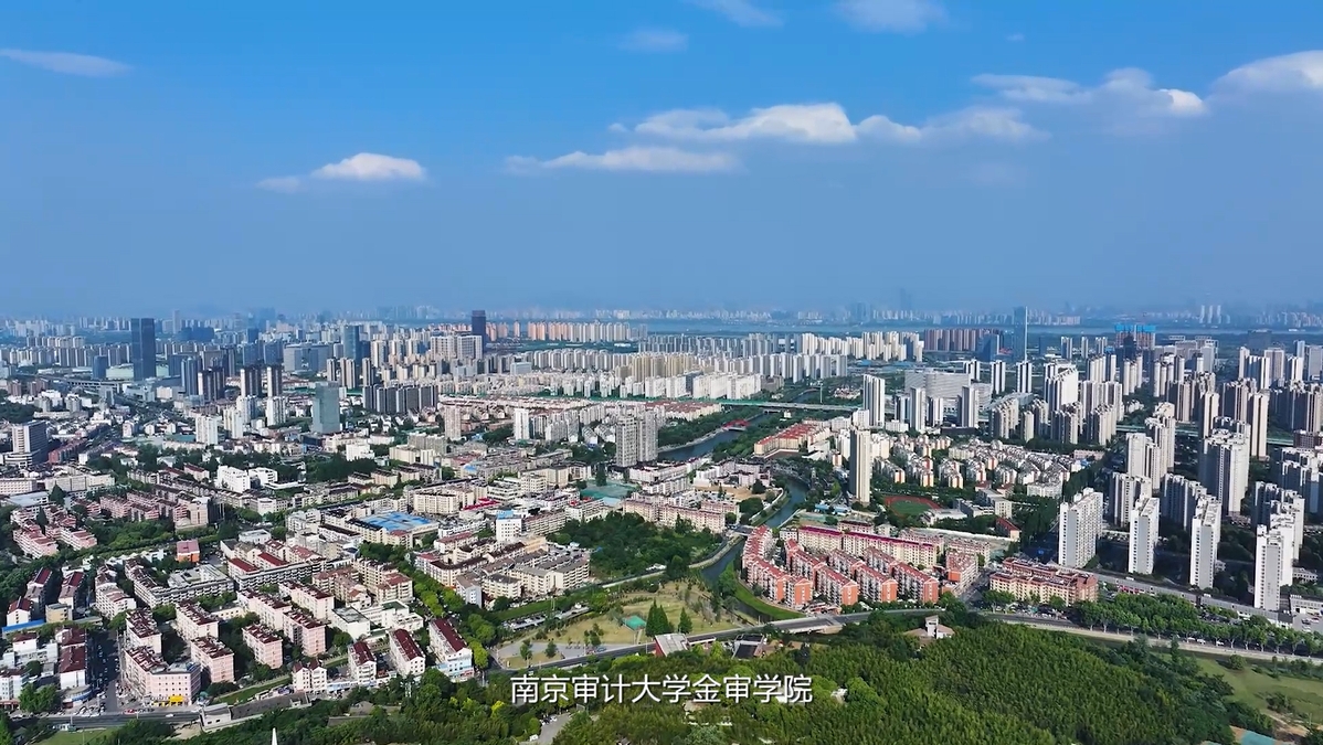 南京审计大学金审学院